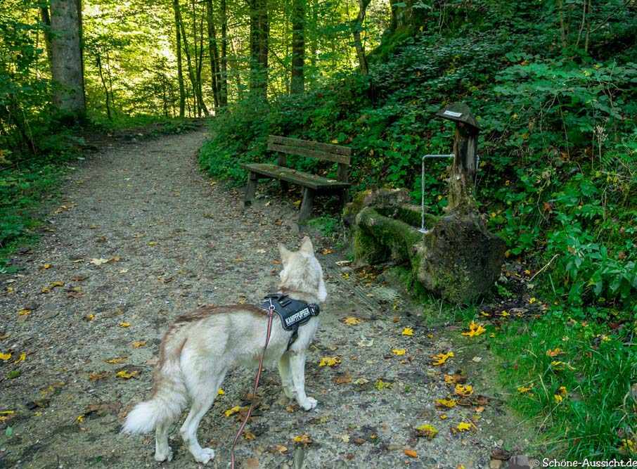 Wandern im Eistobel 6